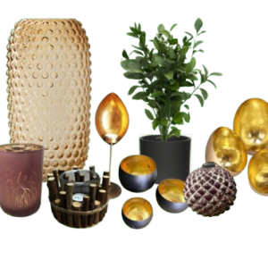 Decoratieset kast RAW Jungle chique