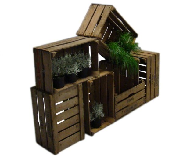 Veilingkist hout