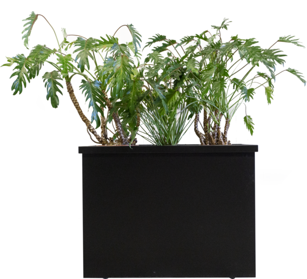 Roomdivider Smooth White opgemaakt met planten